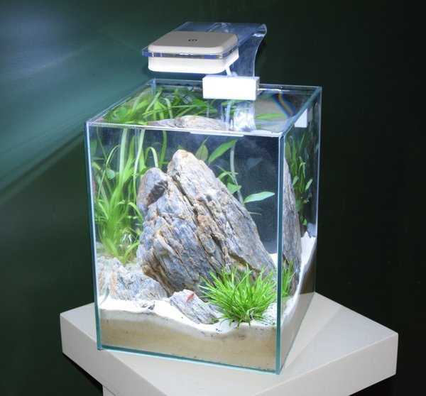 Cube-Aquarium 20x20x20 cm, 4mm Glas
