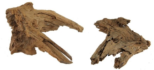 Mangrovenholz, Mangrovenwurzel, Größe L 40-55cm