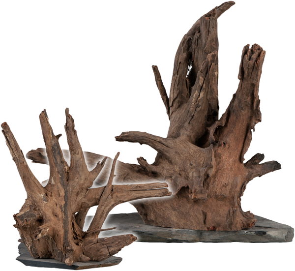 sera Scaper Wood, Wurzelholz, L 30-35 cm