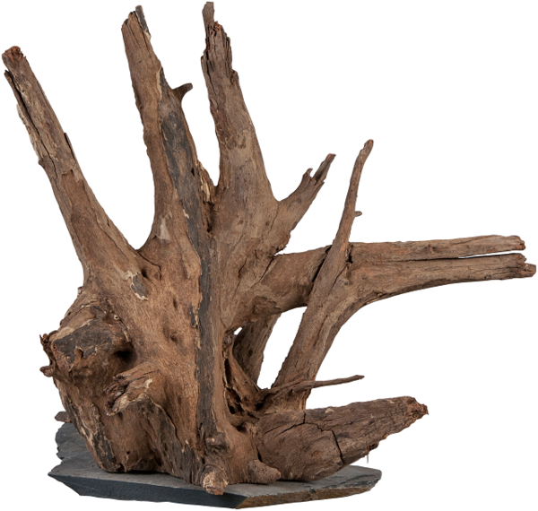sera Scaper Wood, Wurzelholz, L 30-35 cm